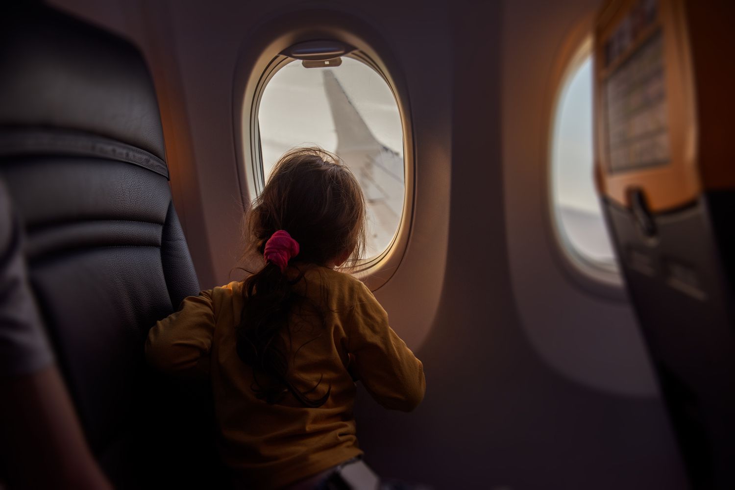 Global Trusted Traveler