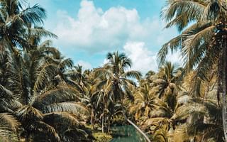 🧳 Take Our Travel Safety Knowledge Test 🌍